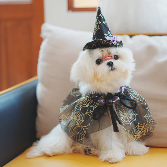 KFX-4123069 Spider Web Hat and Shawl Set for Pets - Halloween Costume Accessories in Various Sizes
