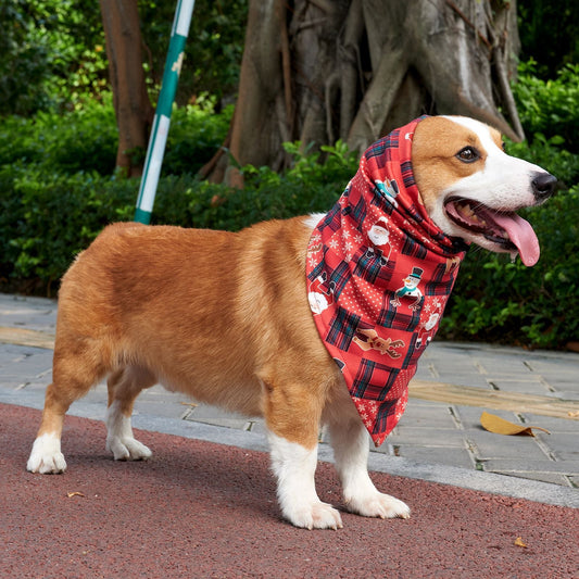 KFX-4137149 Stylish Velvet Dog Headscarf in Halloween Red and Green - Available in Sizes S, M, L