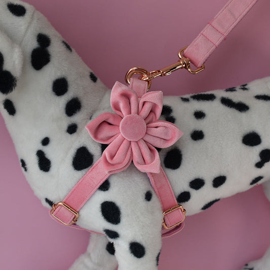 KFX-4138813 Rose Gold Buckle Flannelette Dog Harness Set with Leash, Bow and Flower Accents
