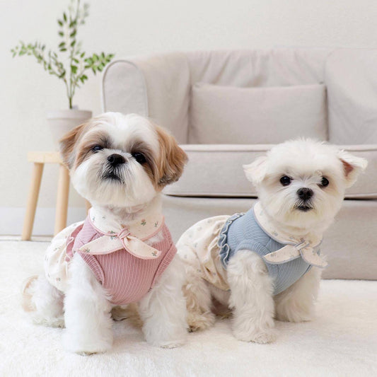 KFX-4156605 Floral Velvet Bubble Skirt Vest with Matching Scarf for Pets