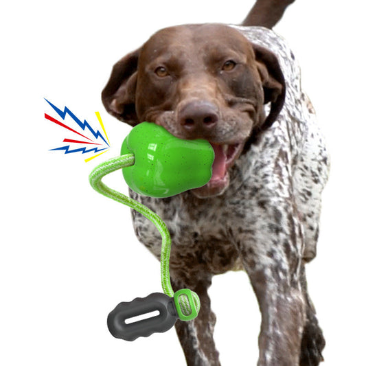 KFX-4170941 Apple Shaped Molar Dog Toy - Squeaky & Outdoor Versions in Green and Red