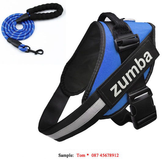 KFX-4174141 Personalized Reflective Adjustable Dog Harness and Leash Set, Breathable Nylon Design, Multiple Sizes Available