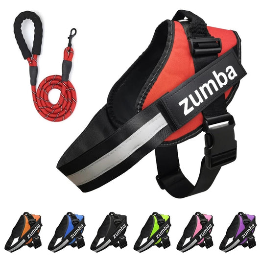 KFX-4174141 Personalized Reflective Adjustable Dog Harness and Leash Set, Breathable Nylon Design, Multiple Sizes Available