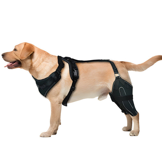KFX-4177853 Adjustable Dog Thigh Protective Sleeve with Metal Support for Postoperative Care - Black