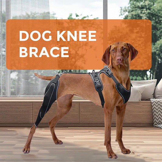 KFX-4177853 Adjustable Dog Thigh Protective Sleeve with Metal Support for Postoperative Care - Black