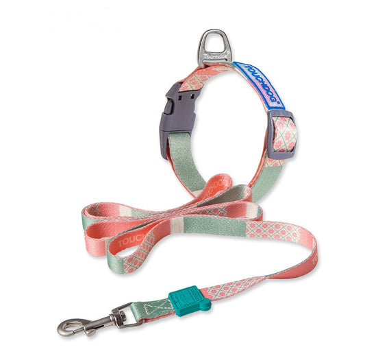 KFX-4183613 Nylon Heat Transfer Dog Harness with Leash and Chest Back Collar for Outdoor Walking