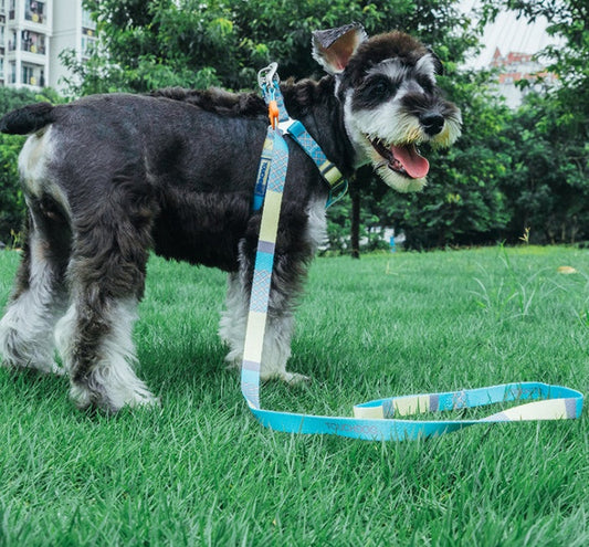 KFX-4183613 Nylon Heat Transfer Dog Harness with Leash and Chest Back Collar for Outdoor Walking