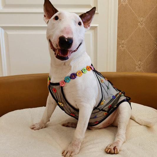 KFX-4205629 Breathable Floral Pet Apparel for Dogs in Multiple Sizes