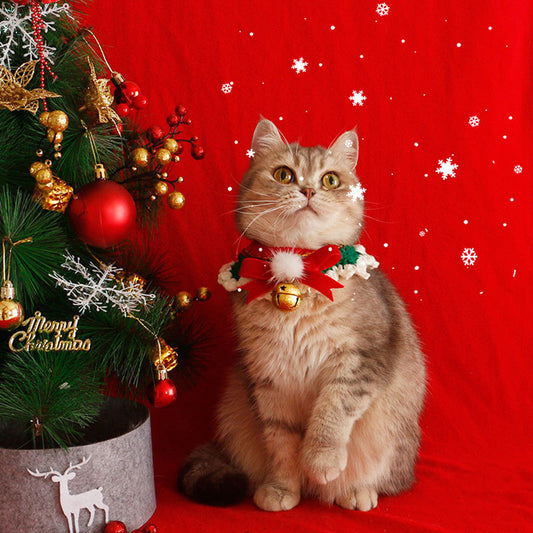 KFX-4218557 Festive Cat Collar Scarf with Pompom Bell and Lace in Gift Box