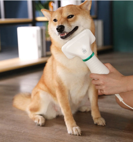 KFX-4239421 All-in-One Cat and Dog Brushing Comb with Adjustable Hair Dryer and Styling Features