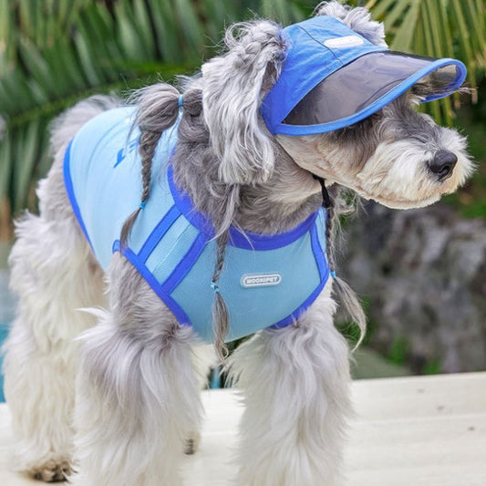 KFX-4280893 Blue Nylon Dog Hat for Small Dogs - Casual Style for Spring and Autumn