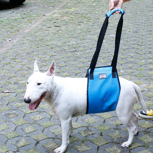 KFX-4302653 Dog Leg Injury Protection Walking Belt - Oxford Cloth & Mesh - Size S, M, L, XL - Blue & Gray Options