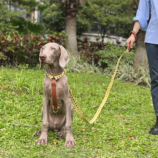 KFX-4310589 I-Shaped Pet Chest Harness with Leash and Collar in Multiple Colors