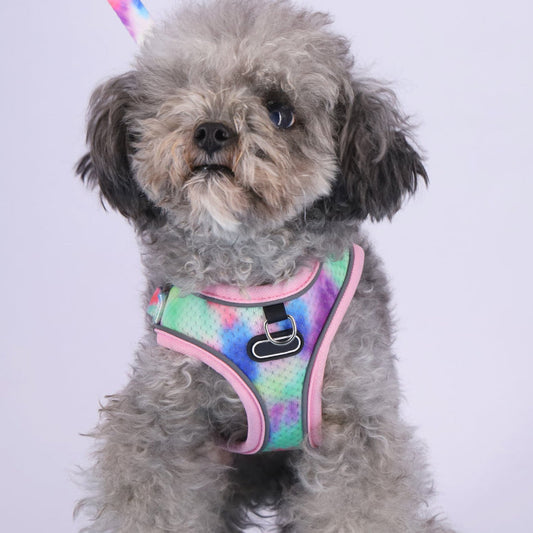 KFX-4341181 Adjustable Pet Chest Strap for Comfortable Dog Walking – Available in Various Colors