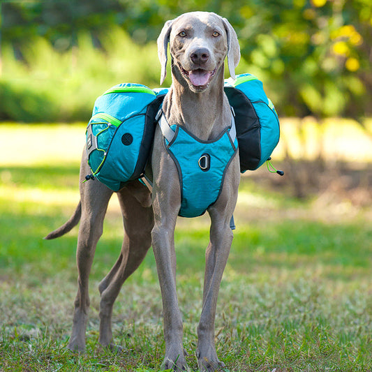KFX-4349885 Pet Self Backpack for Medium and Large Dogs - Water-Repellent Fabric with Detachable Chest Harness in Purple, Orange, Blue