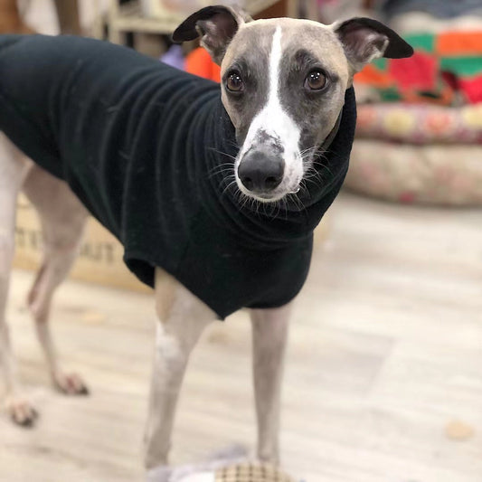 KFX-4350013 Cozy Polar Fleece Turtleneck Vest for Dogs in Multiple Colors and Sizes