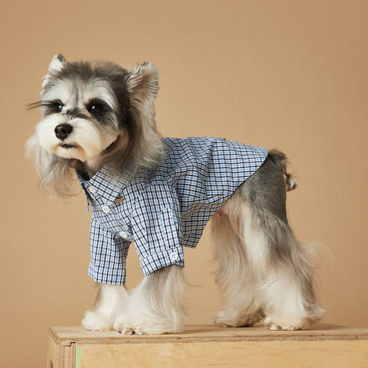 KFX-4360765 Light Blue Summer Plaid Shirt for Small Dogs - Cotton, Sizes XS to XXL