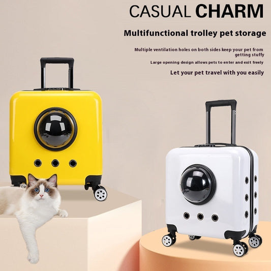 KFX-4365373 Space Capsule Cat Carrier Bag – Hard PVC Pet Travel Suitcase in Multiple Colors