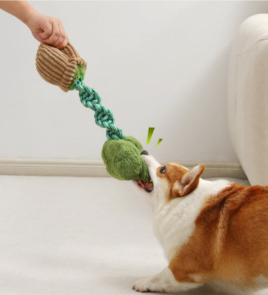 KFX-4387005 Durable Dog Teether Knot Toy - Bite-resistant Polyester in Mushroom and Broccoli Colors