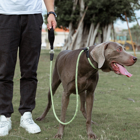KFX-4407229 Fashionable Nylon Pet Dog Leash in Various Colors - Explosion-Proof Design