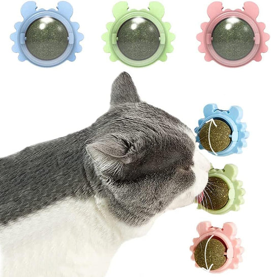 KFX-4420413 Catnip Wall Ball Cat Toy for Chewing and Teeth Cleaning - Removable Edible Cat Treats for Indoor Fun