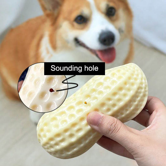 KFX-4437693 Durable Peanut Squeaky Chew Toy for Small to Medium Dogs and Puppies - Eco-Friendly Rubber with Tooth Cleaning Features