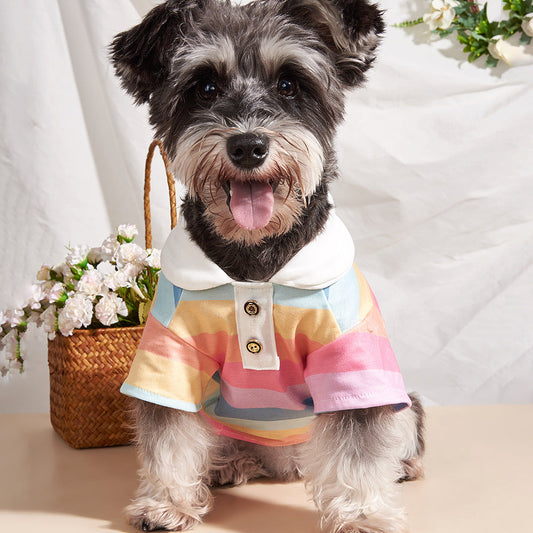 KFX-4448317 Colorful Striped Polo Shirt for Pets - Available in XS to XL Sizes