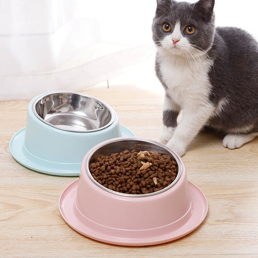 KFX-4463421 Stainless Steel Non-Slip Cat Bowl with Tilted Design for Easy Feeding