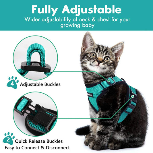 KFX-4466493 Adjustable Escape Proof Cat Vest Harness with Soft Mesh and Car Seat Belt Adapter