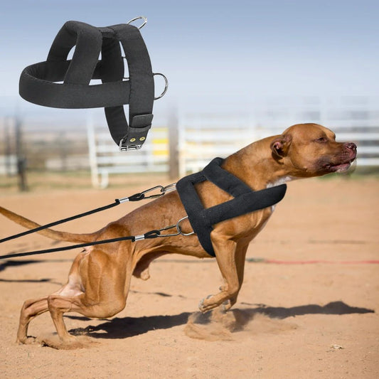 KFX-4499261 Soft Padded Weight Pulling Harness for Dogs, Adjustable Chest Strap (58-80cm)