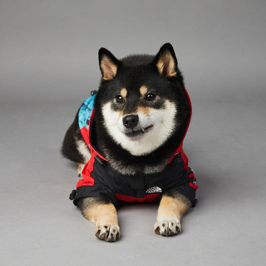 KFX-4524605 Waterproof and Windproof Shell Jacket for Dogs in Multiple Sizes and Colors