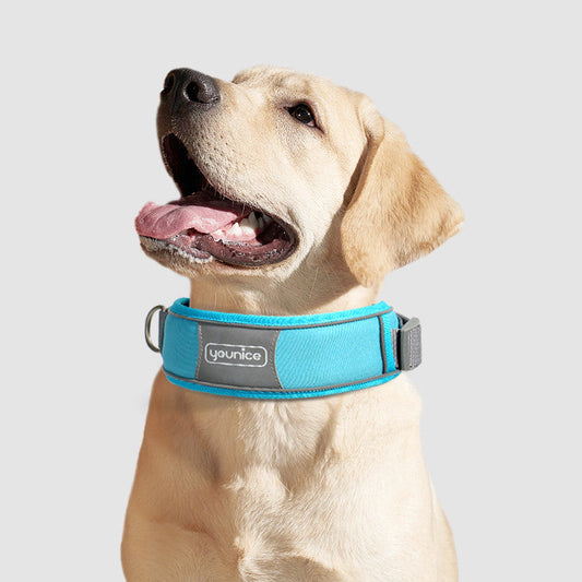 KFX-4540477 Durable Nylon Dog Collar and Leash Set with Comfort Padding - Multiple Colors and Sizes Available