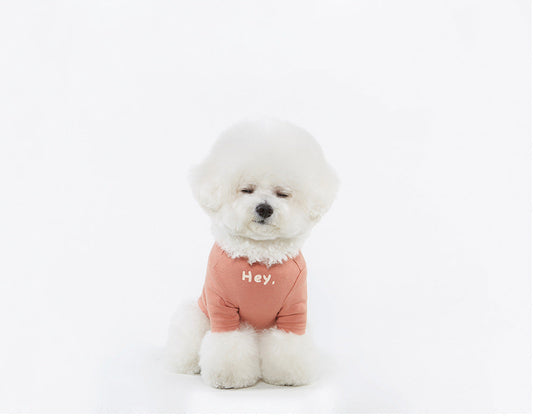 KFX-4556349 Casual Cotton Printed T-Shirt for Pets in Various Colors and Sizes