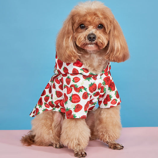 KFX-4571837 Waterproof Strawberry Print Dog Raincoat for Spring and Summer in Multiple Sizes
