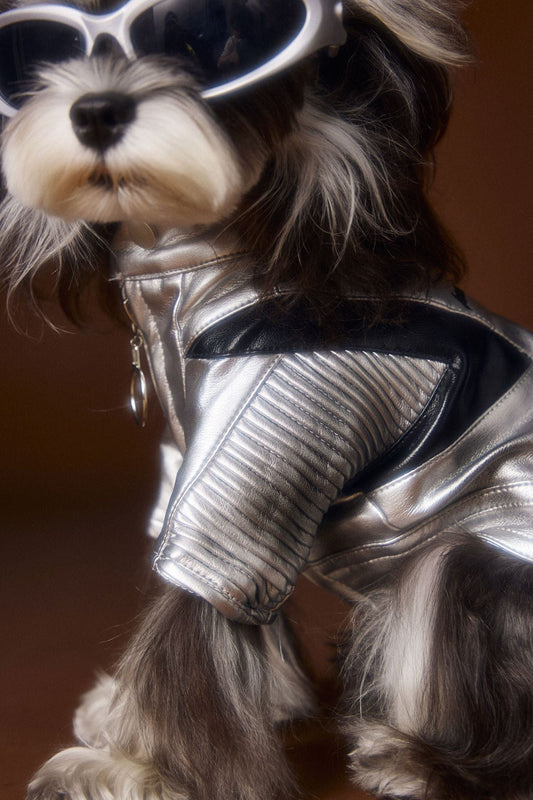KFX-4581565 Handsome Distressed Silver Leather Coat for Teddy Schnauzer Bichon - Available in Multiple Sizes