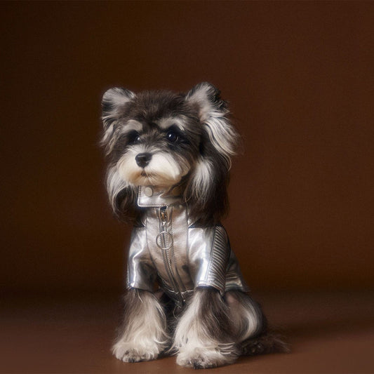 KFX-4581565 Handsome Distressed Silver Leather Coat for Teddy Schnauzer Bichon - Available in Multiple Sizes