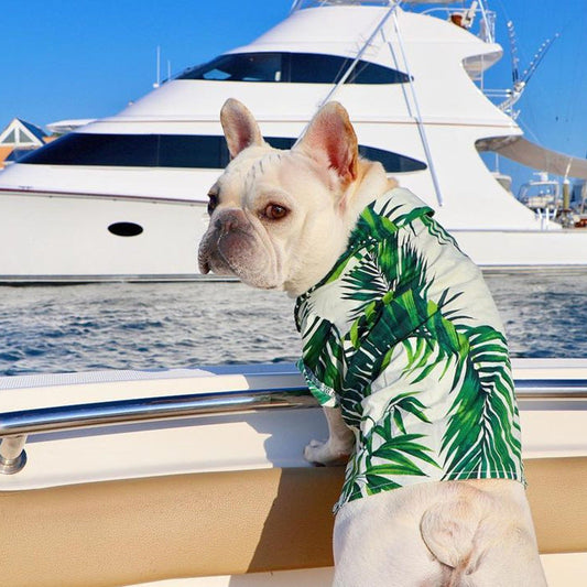 KFX-4585149 Corgi & Shiba Dog Shirt in Green Leaf, Banana, & Denim - Sizes S to 2XL