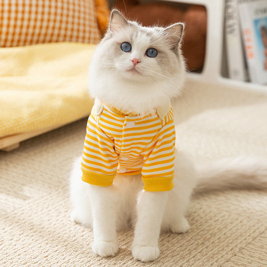KFX-4637373 Cozy Cartoon Dog Pattern Sweater for Autumn – Yellow & White, Sizes XS-XXL