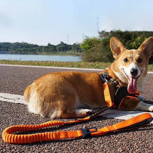 KFX-4657853 Retractable Reflective Traction Belt for Pets with Hand-Holding Rope in Black, Orange, Khaki