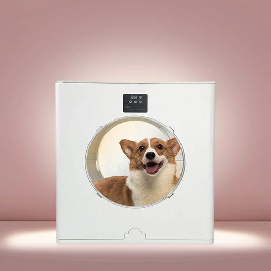 KFX-467859 Adjustable Speed Pet Hair Dryer for Dogs and Cats - Foldable and Efficient Grooming Tool
