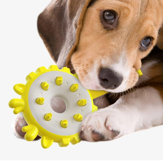KFX-4714685 Training Bite Resistance Dog Toothbrush Toy Ring - Molar Dental Chew Toy in Lake Blue, Yellow, Green, Orange