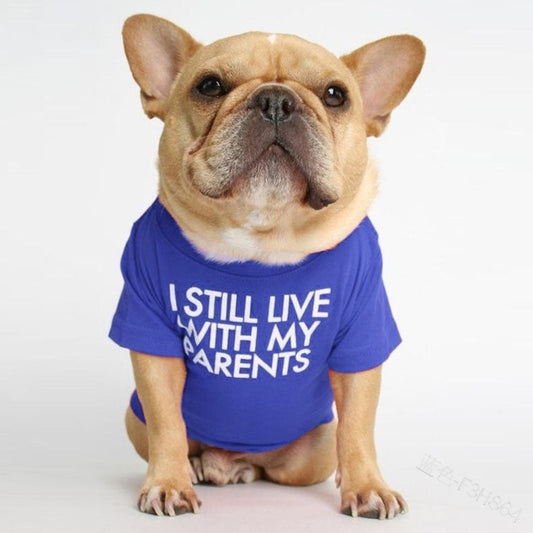KFX-4723773 Casual Cotton Pet Dog Letter T-Shirt in Multiple Colors and Sizes