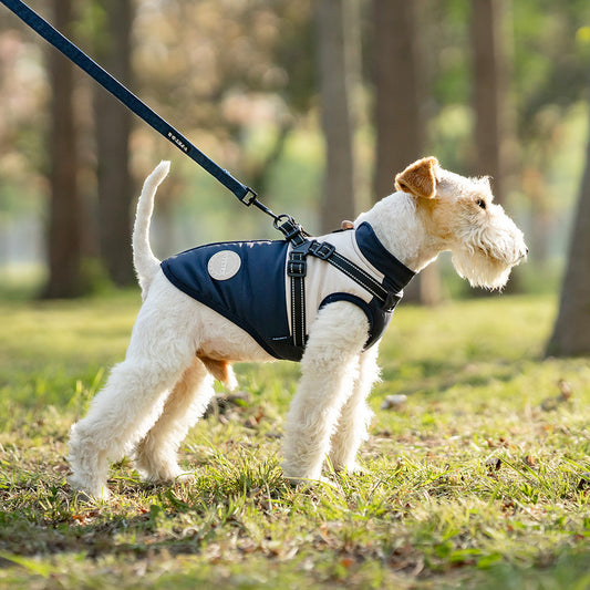 KFX-4746429 Cold-Proof Dog Vest for All Breeds - Available in Blue, Green, Brown (XS-5XL)