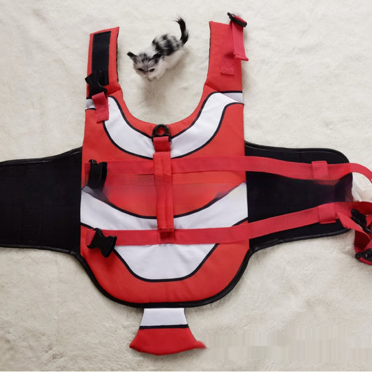 KFX-4753981 Striped Pet Life Jacket in Various Colors and Sizes for Safe Water Adventures
