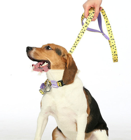 KFX-4783165 Durable Yellow Polyester Pet Traction Rope for Cats and Dogs, 120cm Length