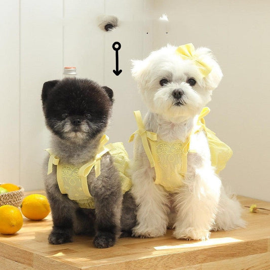 KFX-4795453 Charming Lace Dog and Cat Skirt with Bowknot Detail in Multiple Colors
