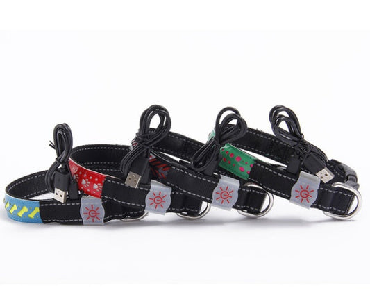 KFX-4802621 LED Light-Up Pet Collar with USB Charging - Available in Multiple Sizes