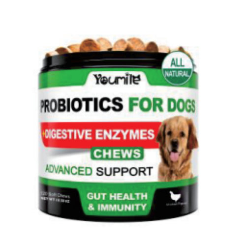 KFX-4812221 Probiotic Chewable Capsules - 120 Count Dietary Supplement for Digestive Health