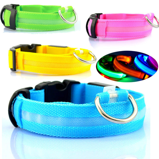 KFX-4825661 LED Safety Dog Collar with Multiple Flashing Modes and Replaceable Battery
