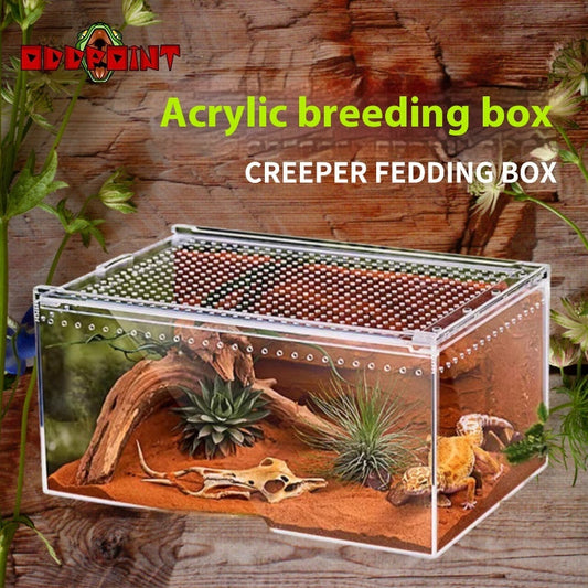 KFX-4861885 Acrylic High Permeability Feeding Box for Reptiles - Multiple Sizes Available
